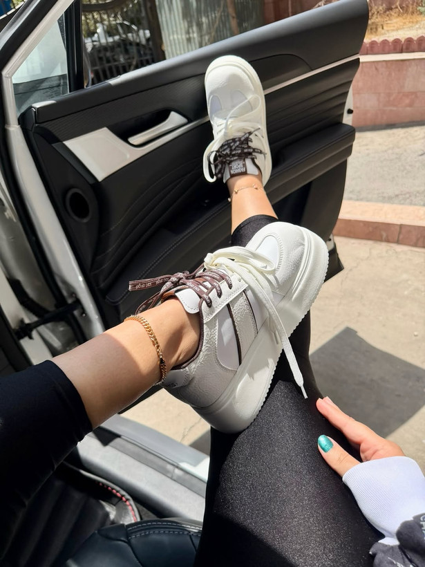 ونس لژدار بوکسی