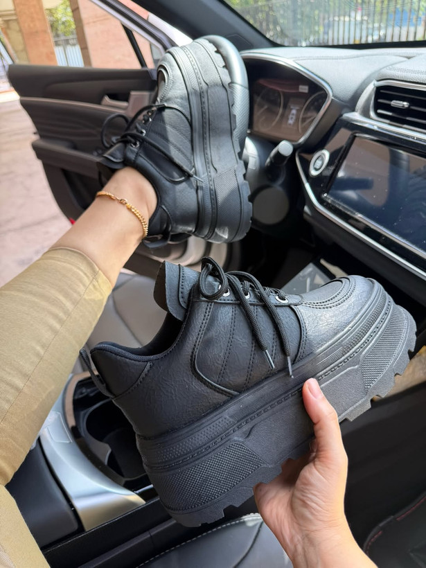 ونس لژدار بیسیک