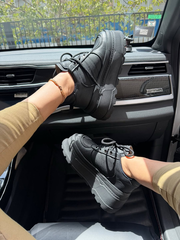 ونس لژدار بیسیک